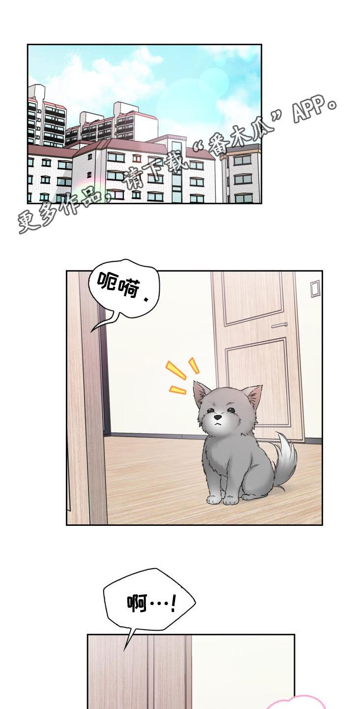 《青年住客》第93章【第二季】一起确认 第1页