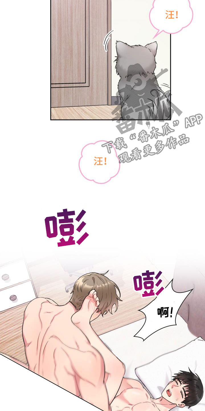《青年住客》第93章【第二季】一起确认 第2页