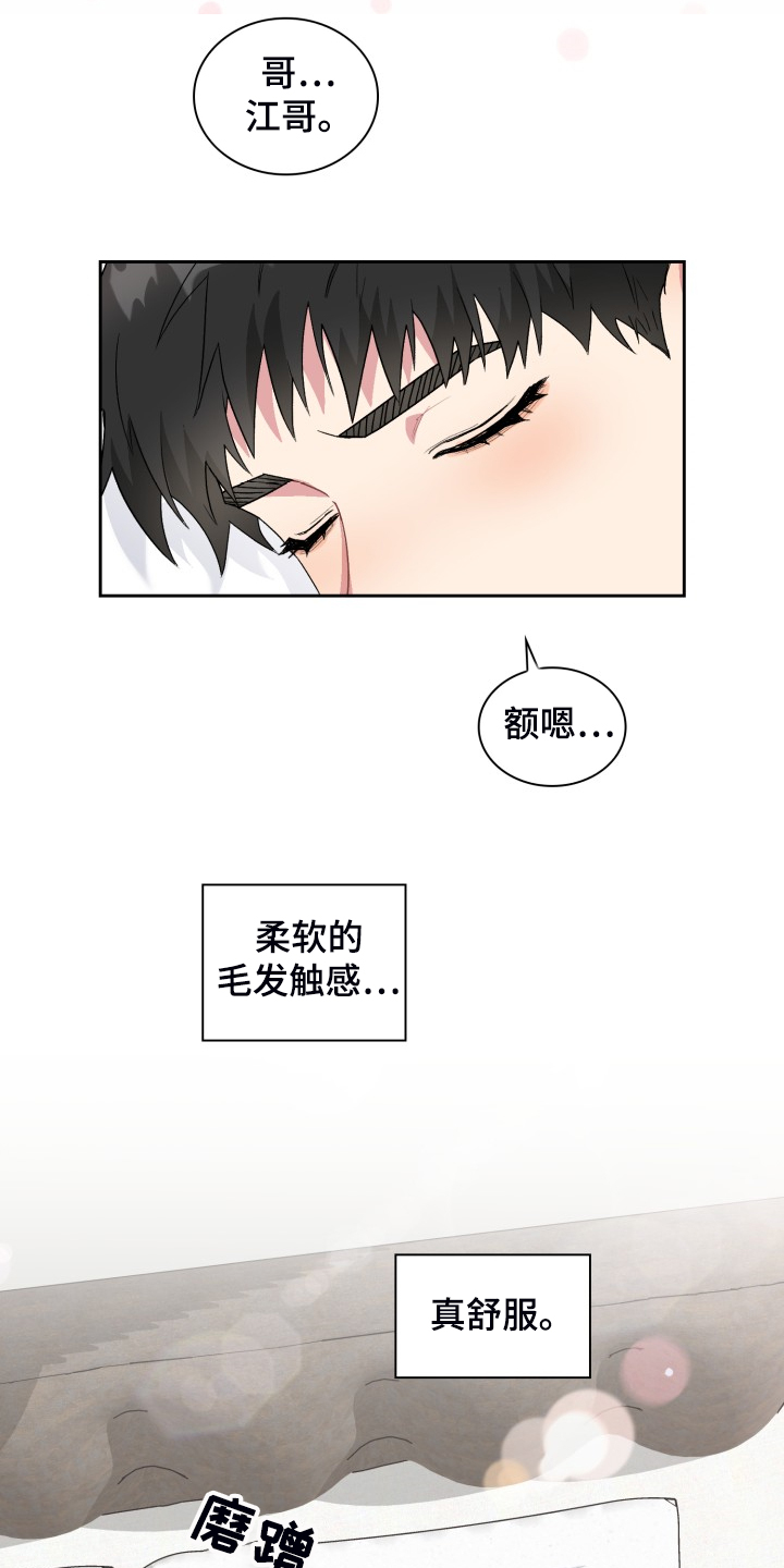 《青年住客》第70章我知道这是梦 第23页