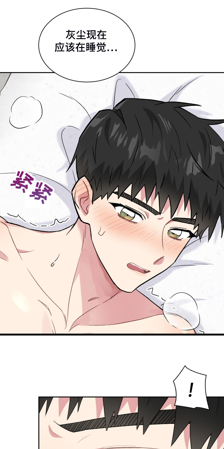 《青年住客》第71章各种理由 第12页
