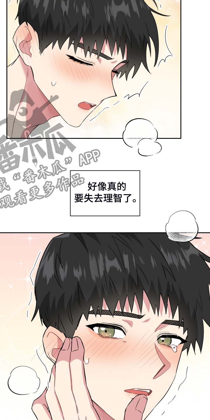 《青年住客》第71章各种理由 第17页