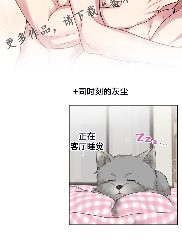 《青年住客》第71章各种理由 第21页