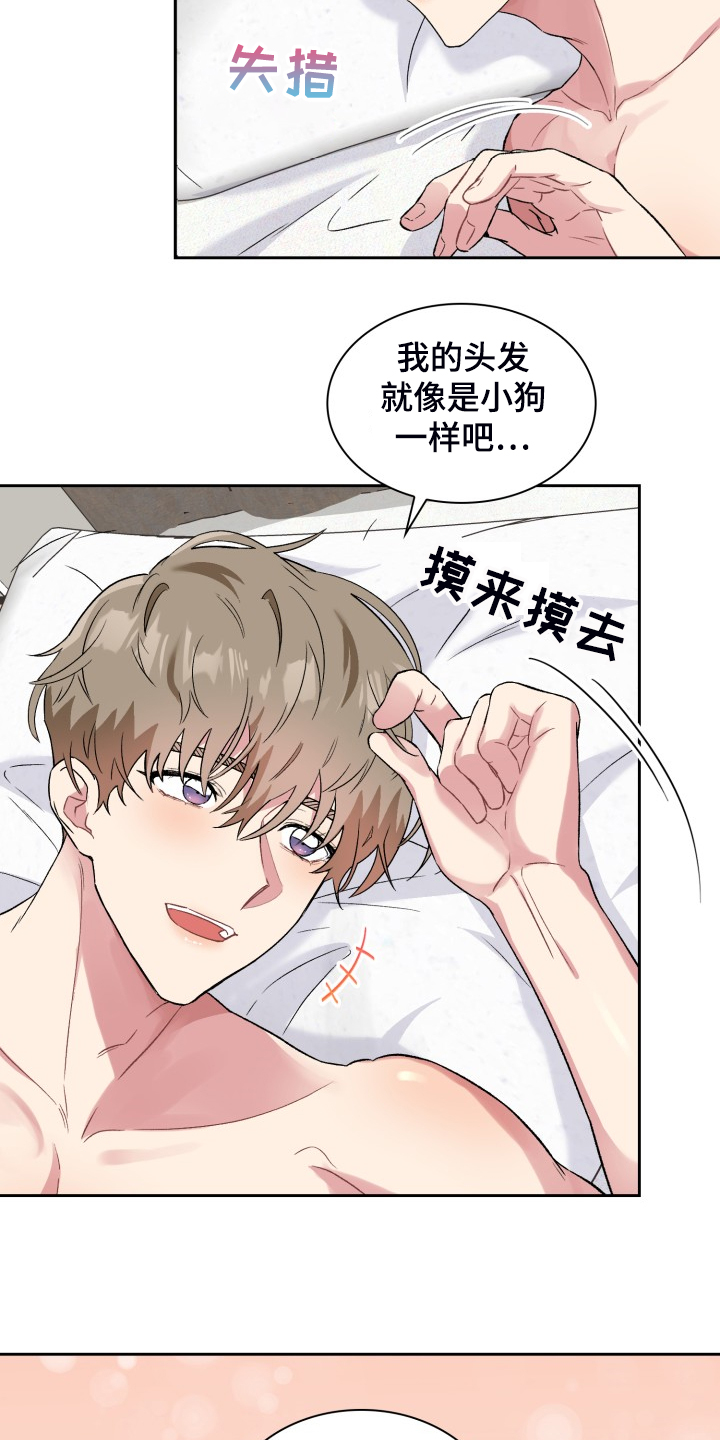 《青年住客》第71章各种理由 第3页