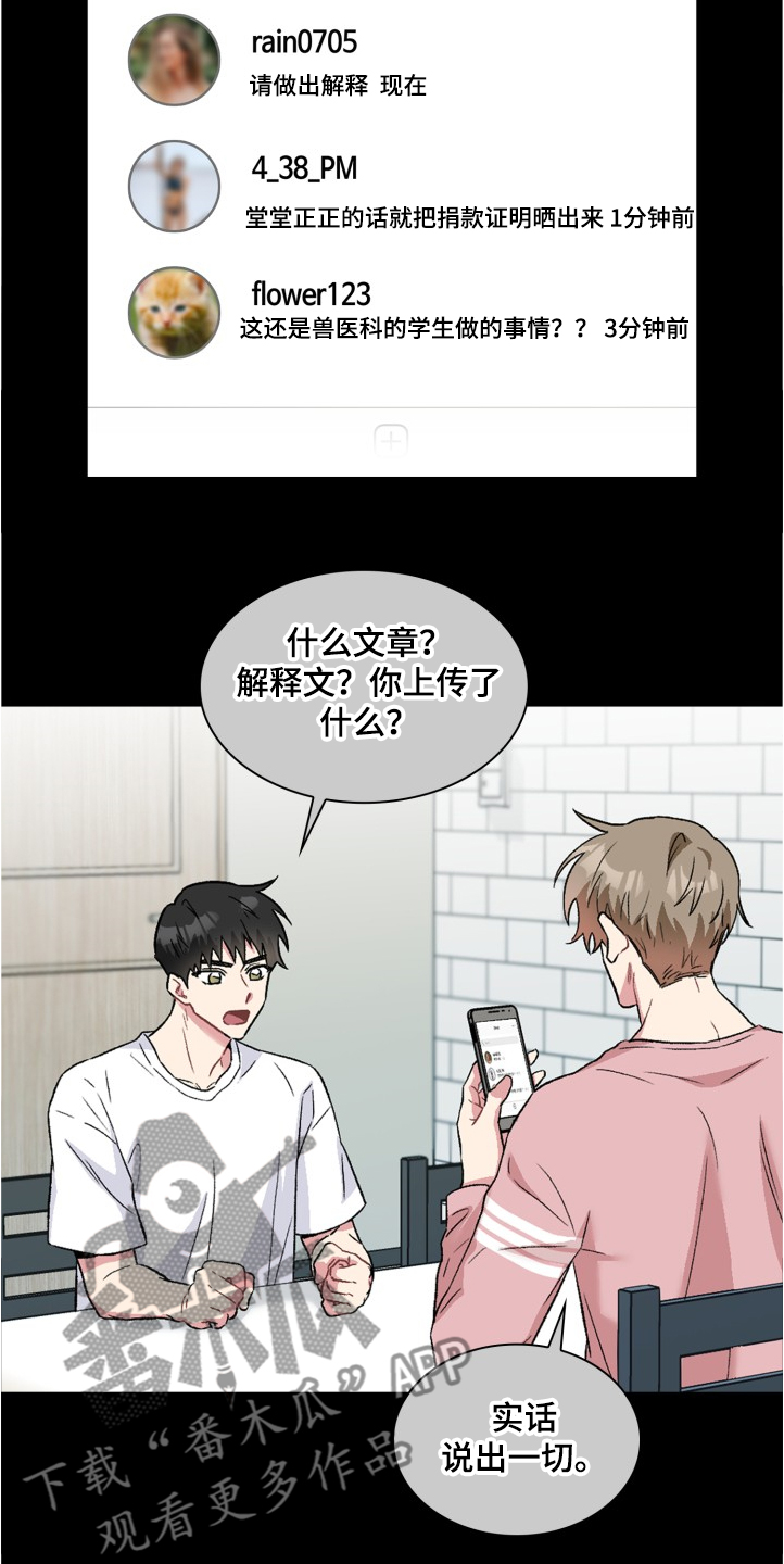 《青年住客》第64章网络暴力 第11页
