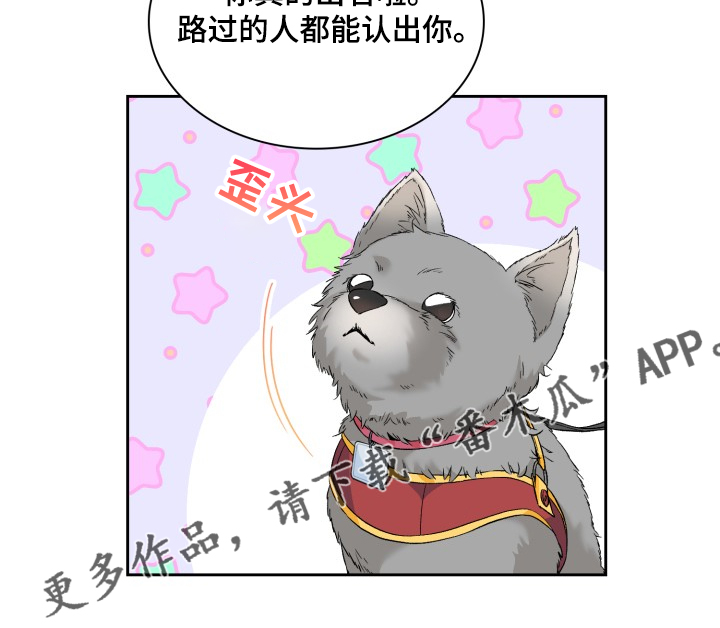 《青年住客》第60章采访会 第12页