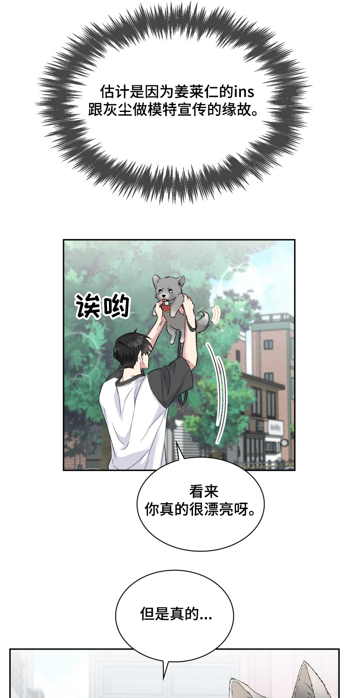 《青年住客》第60章采访会 第13页