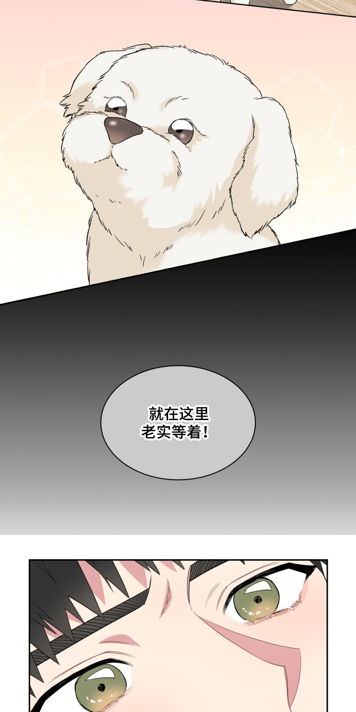 《青年住客》第60章采访会 第15页