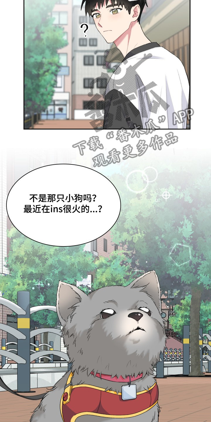 《青年住客》第60章采访会 第7页