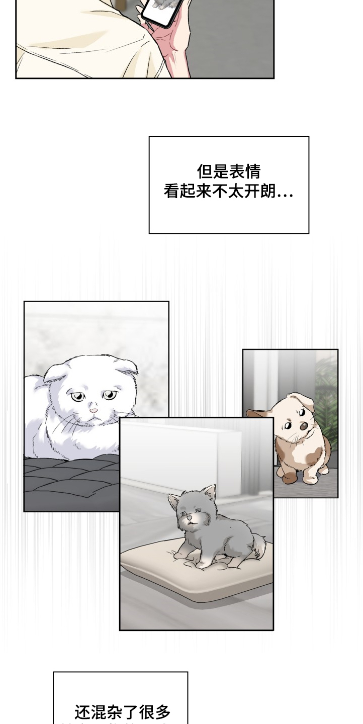《青年住客》第62章奇怪的相遇 第11页