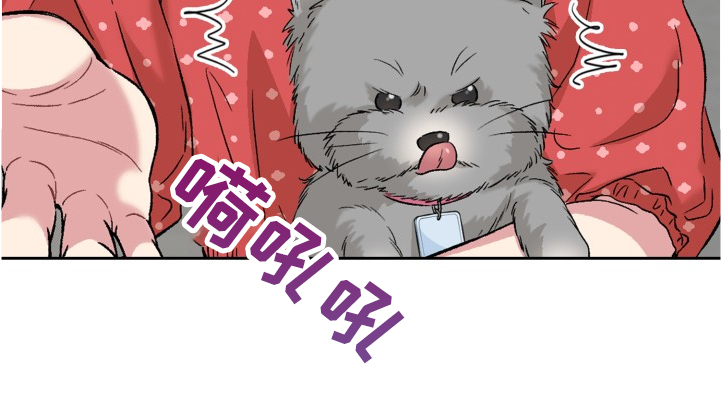 《青年住客》第62章奇怪的相遇 第16页
