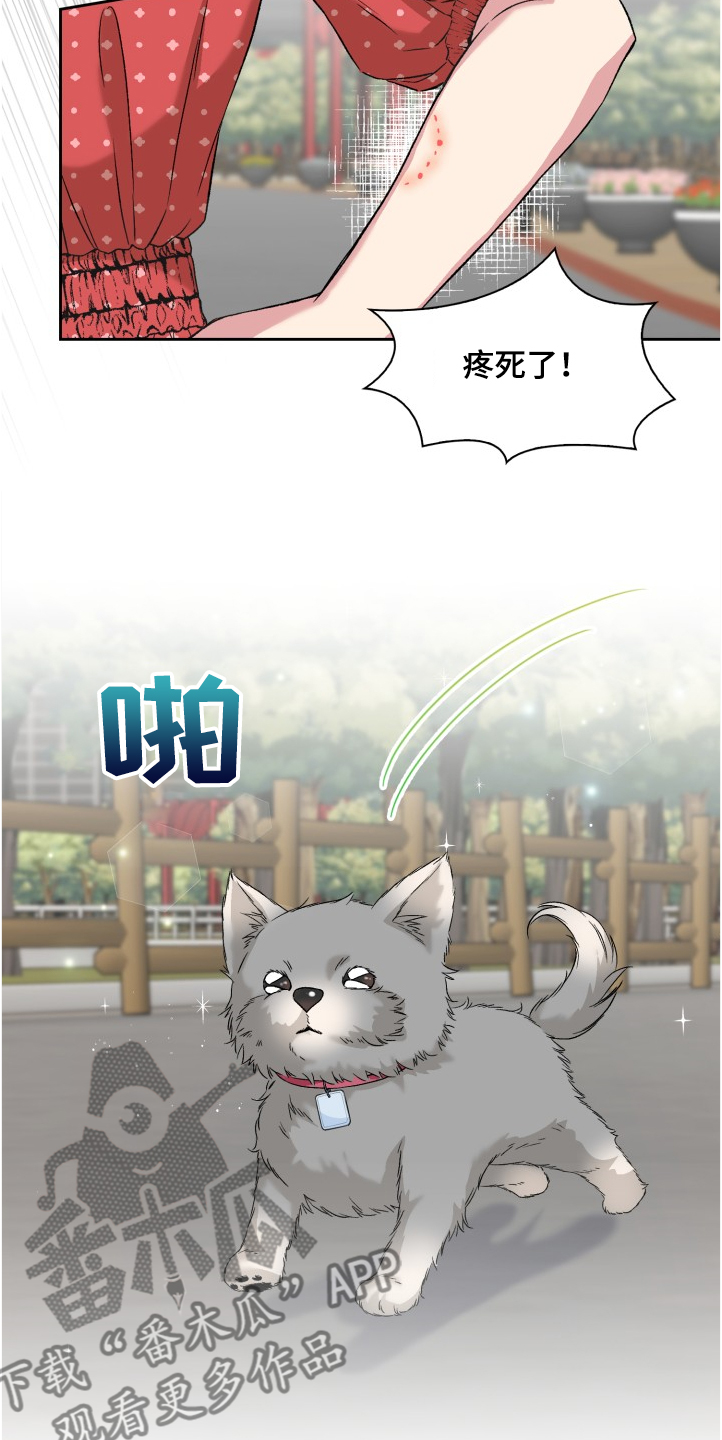 《青年住客》第62章奇怪的相遇 第20页