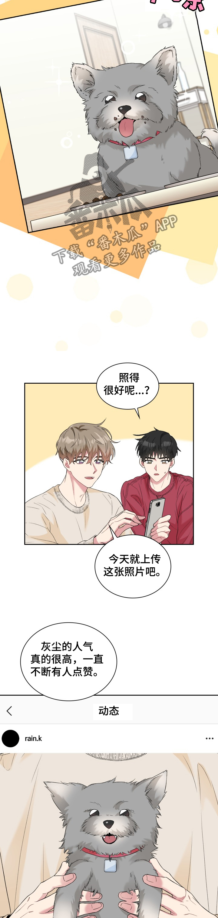 《青年住客》第59章狗狗模特 第6页