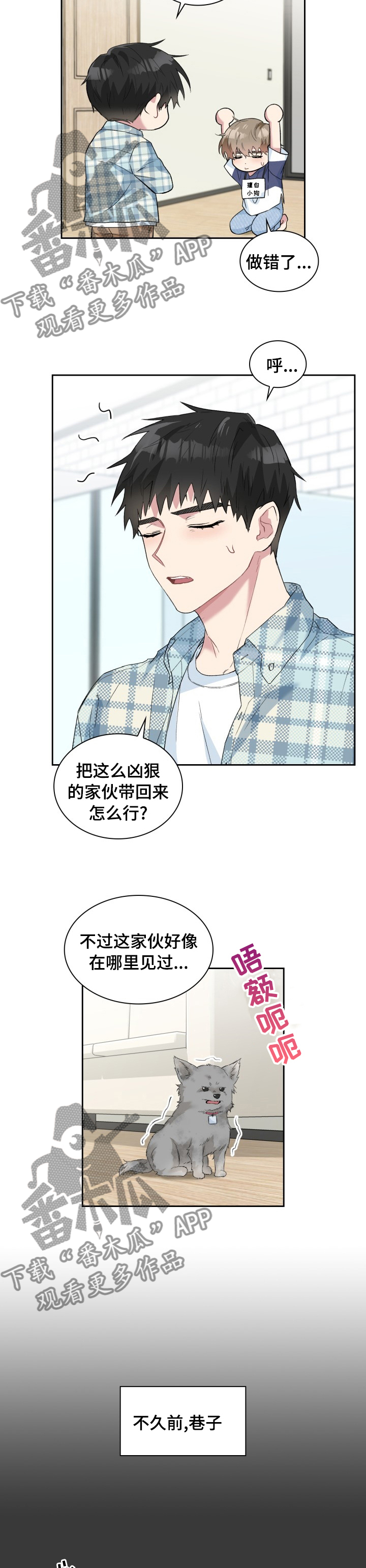 《青年住客》第53章灰尘 第2页