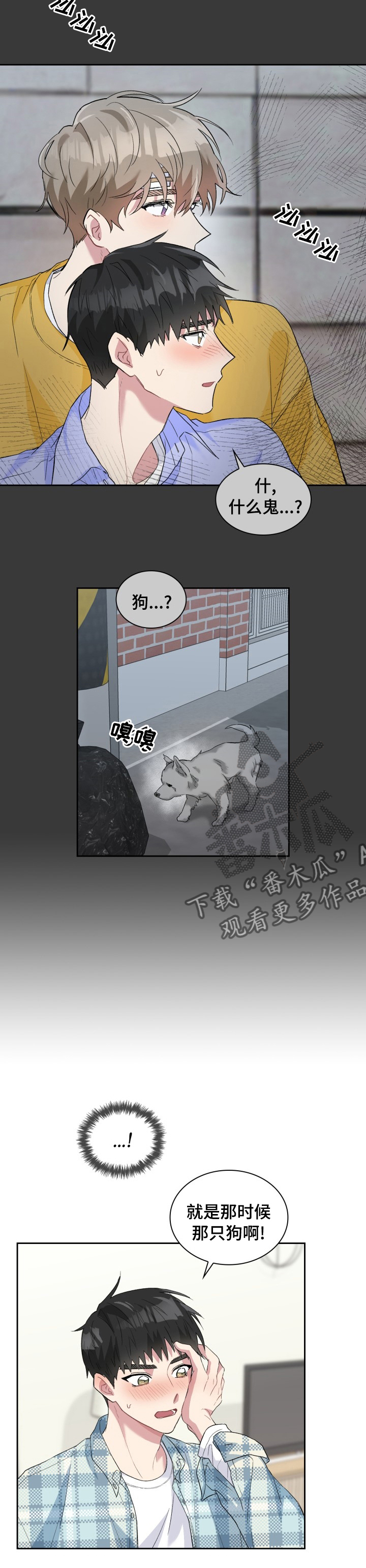 《青年住客》第53章灰尘 第3页