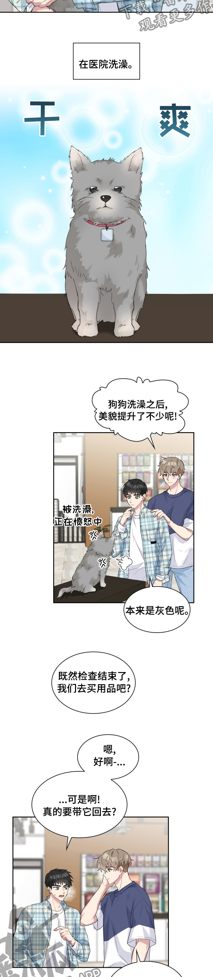 《青年住客》第53章灰尘 第5页