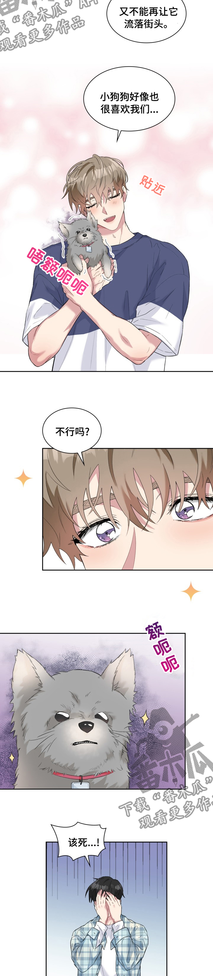 《青年住客》第53章灰尘 第6页