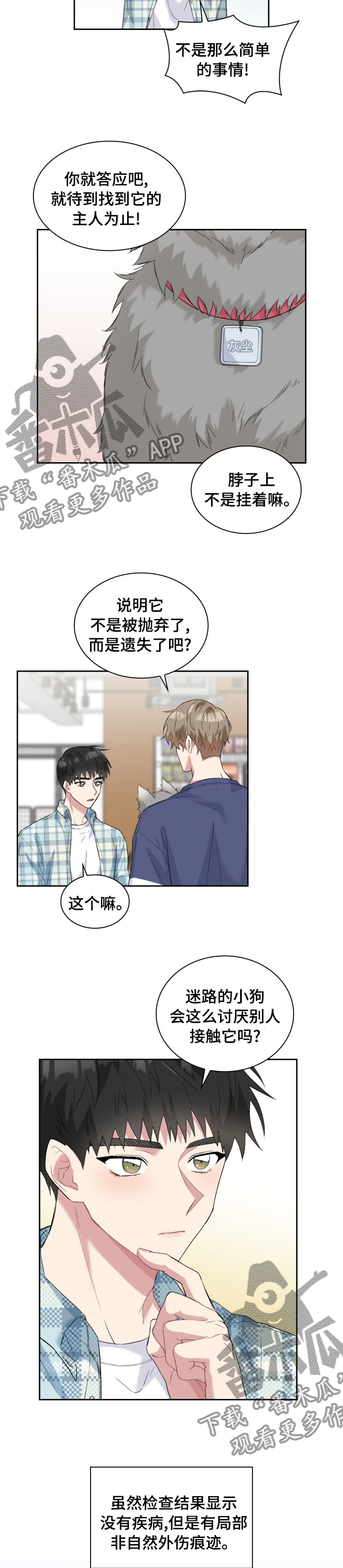 《青年住客》第53章灰尘 第7页