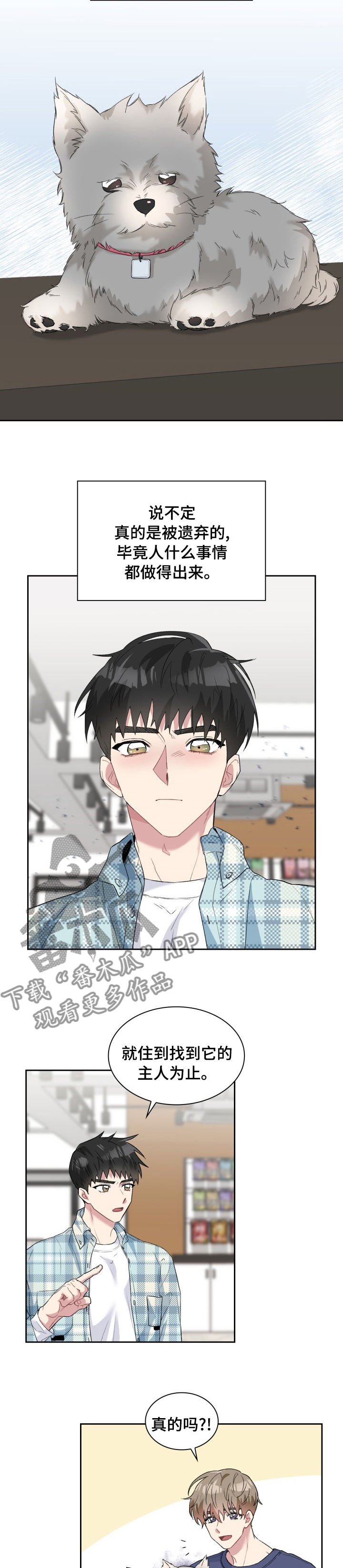 《青年住客》第53章灰尘 第8页