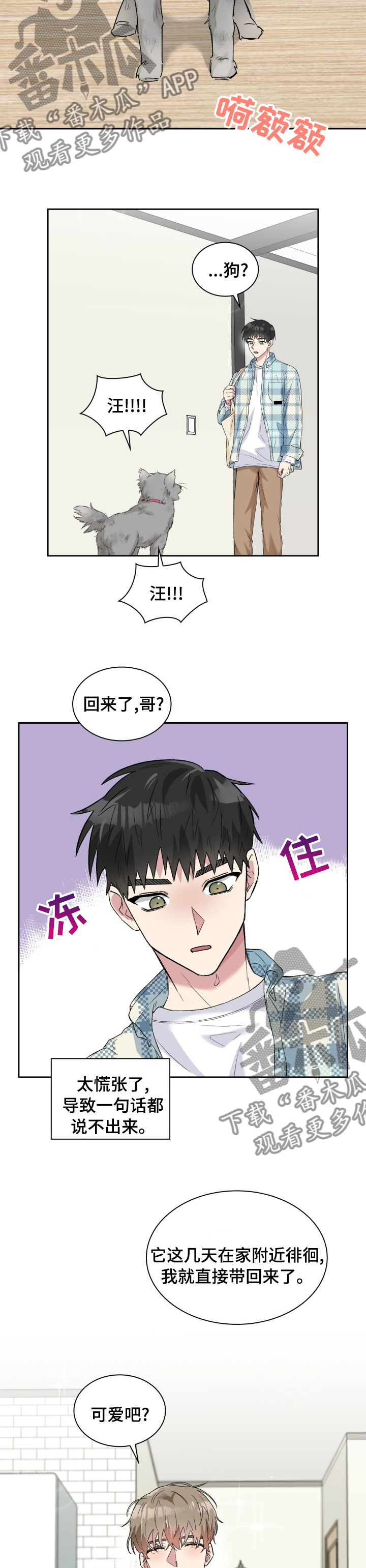 《青年住客》第52章变故 第8页