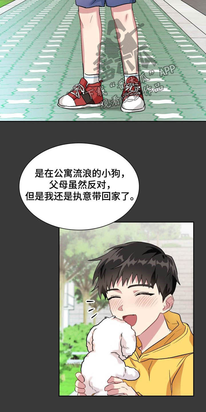 《青年住客》第35章陌生电话 第6页