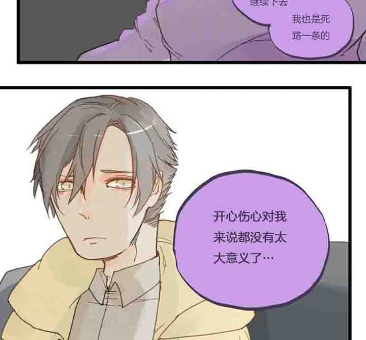 《心魔游戏》第67章奇迹 第17页