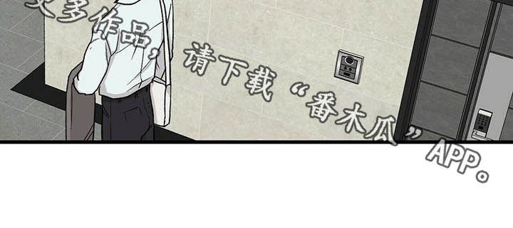 《久别的重逢》第48章没说过 第12页