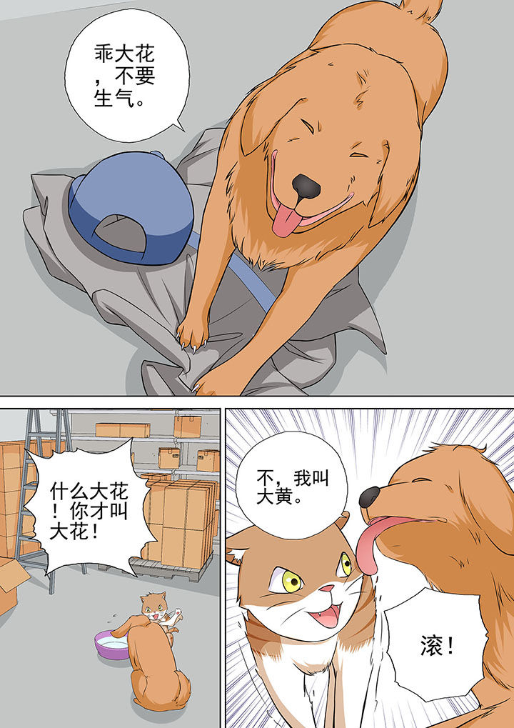 《妖灵酒吧》第13章 第6页