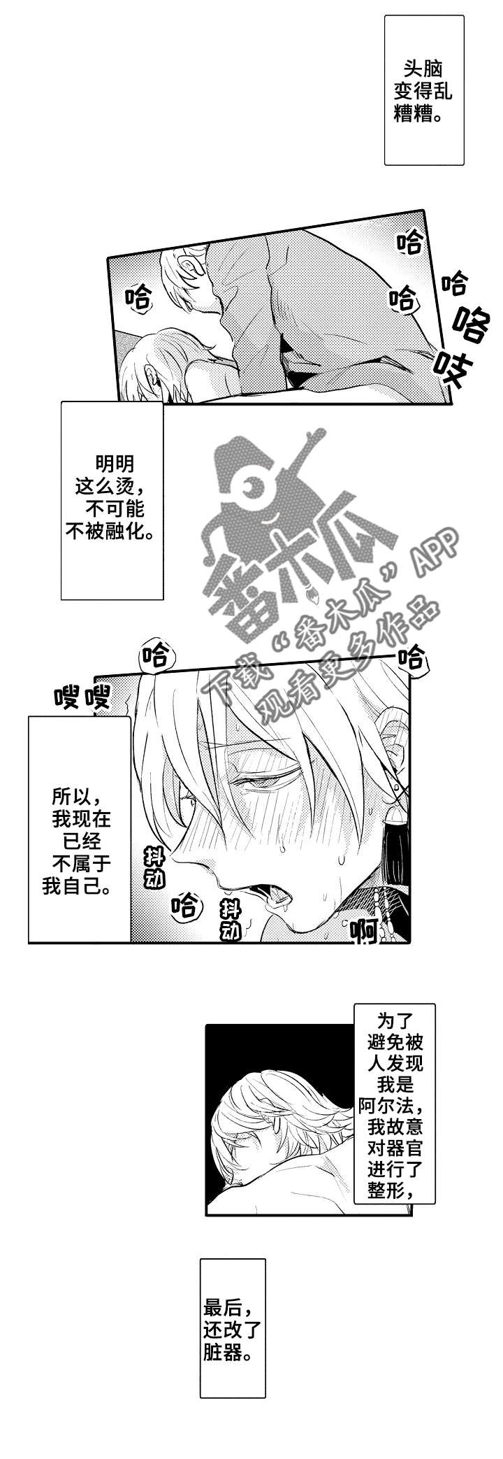 《再见了恋人》第13章伴侣 第2页