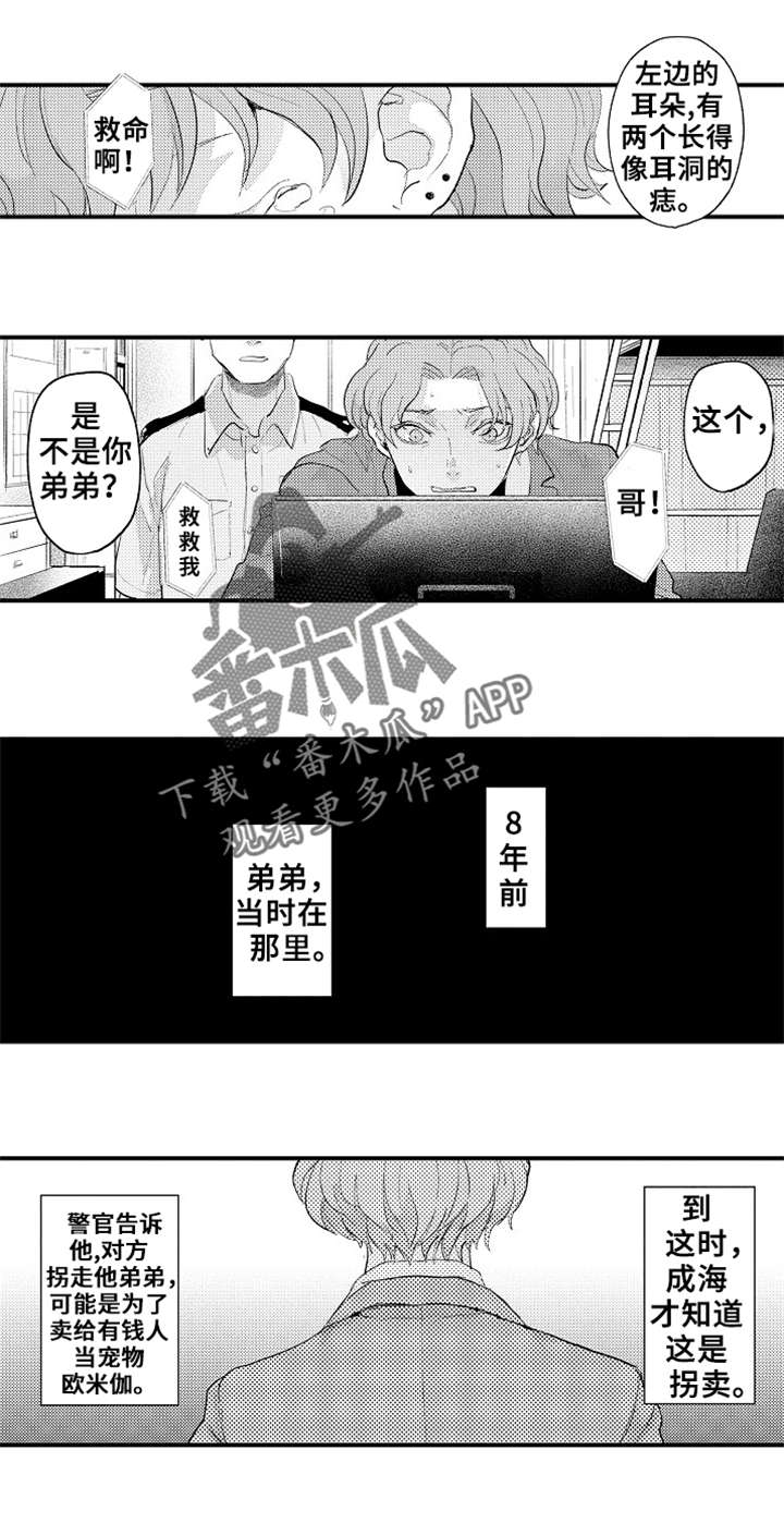 《再见了恋人》第8章线索 第3页