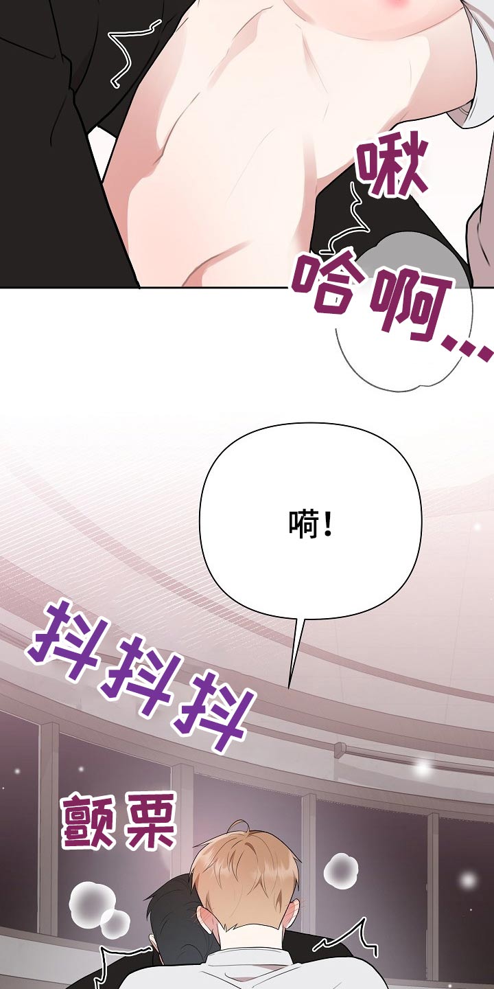 《请接受赞助》第36章从新再来 第5页