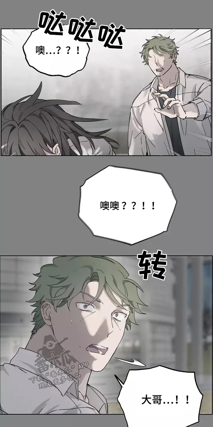 《极道之交》第40章打开看看 第14页