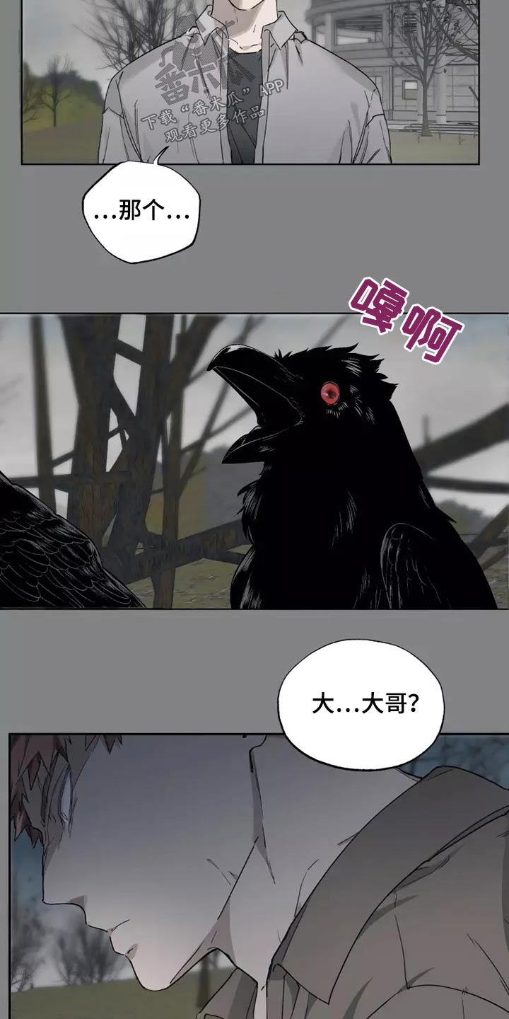 《极道之交》第40章打开看看 第16页