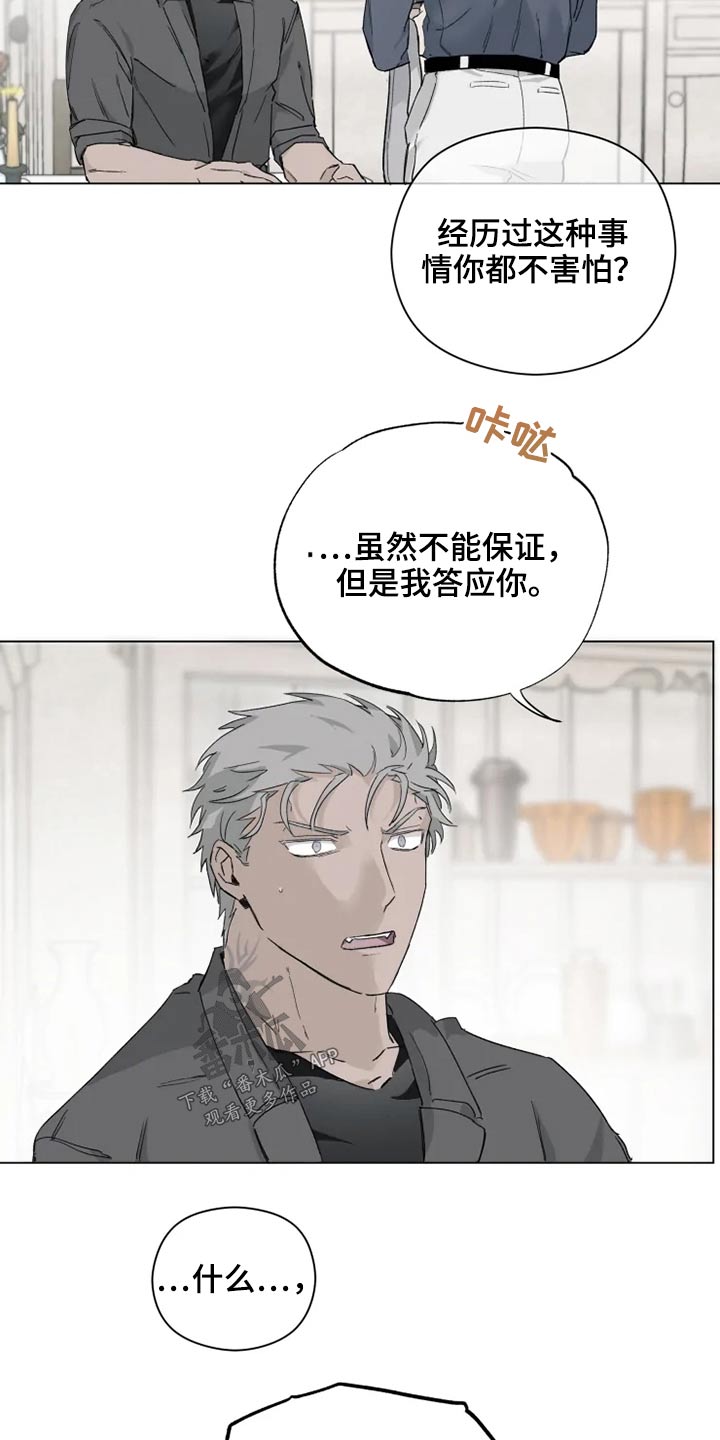 《极道之交》第39章那是什么 第13页