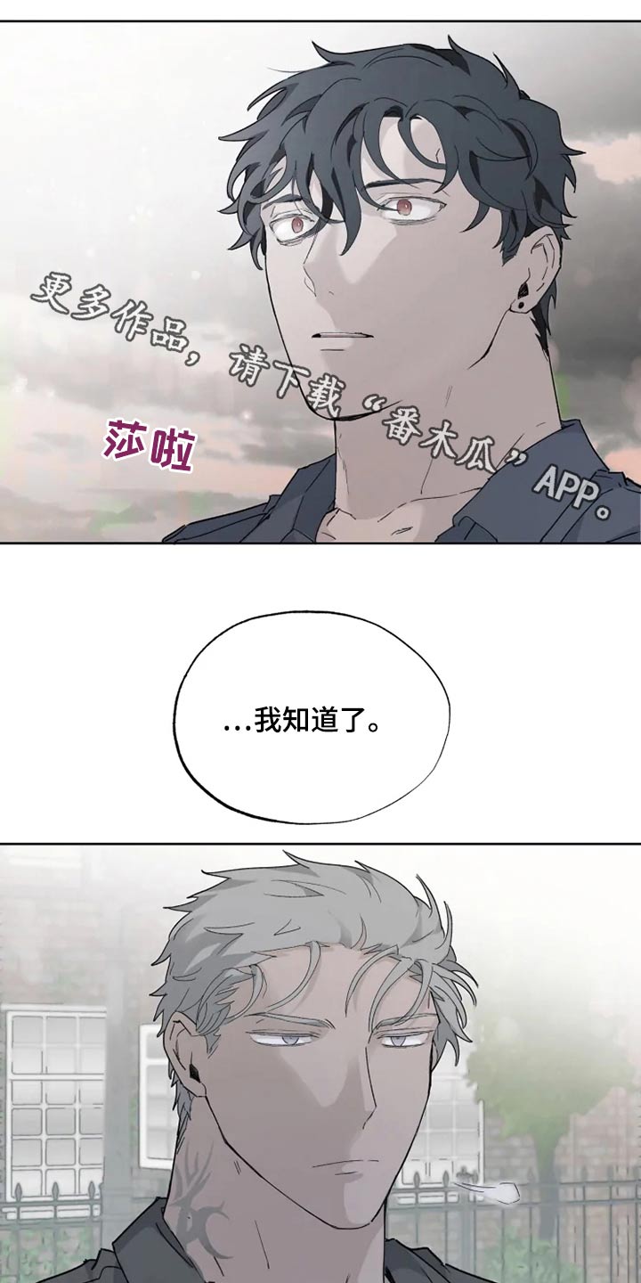 《极道之交》第39章那是什么 第1页