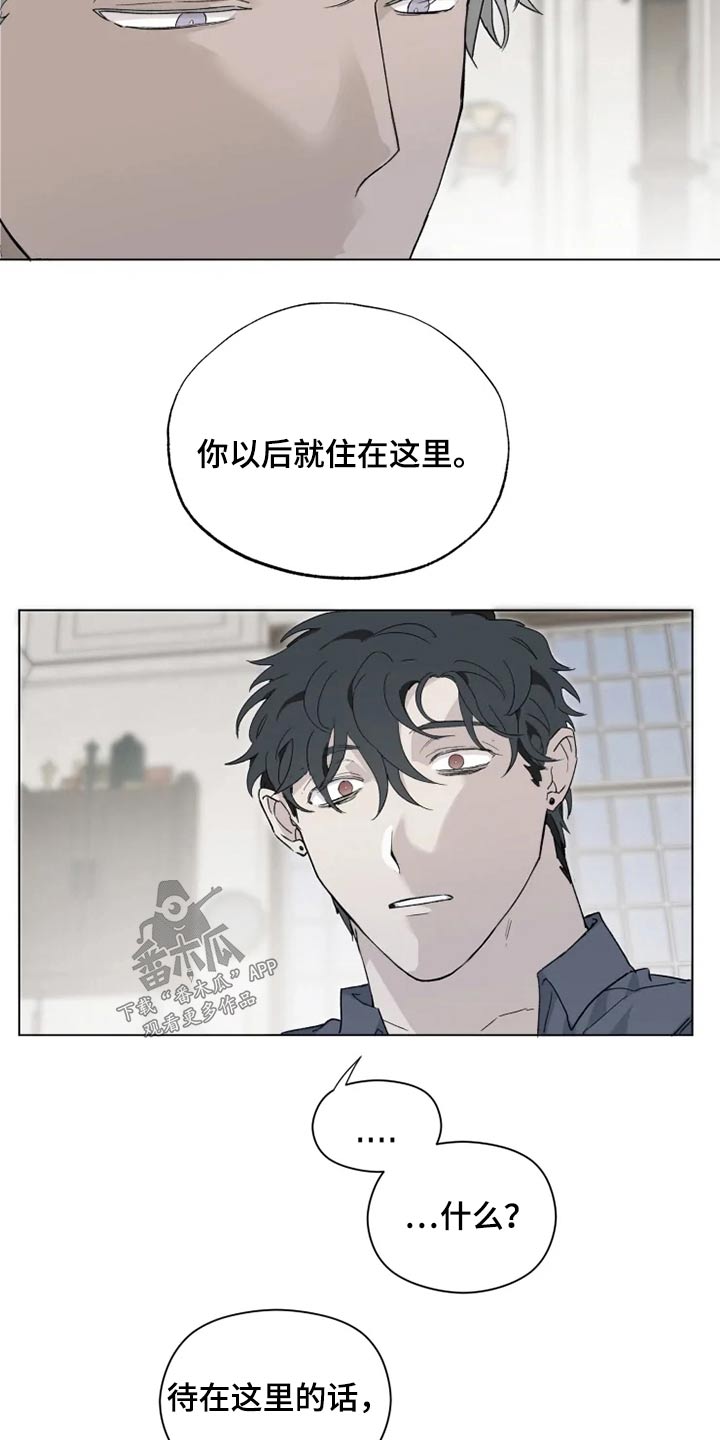 《极道之交》第39章那是什么 第7页