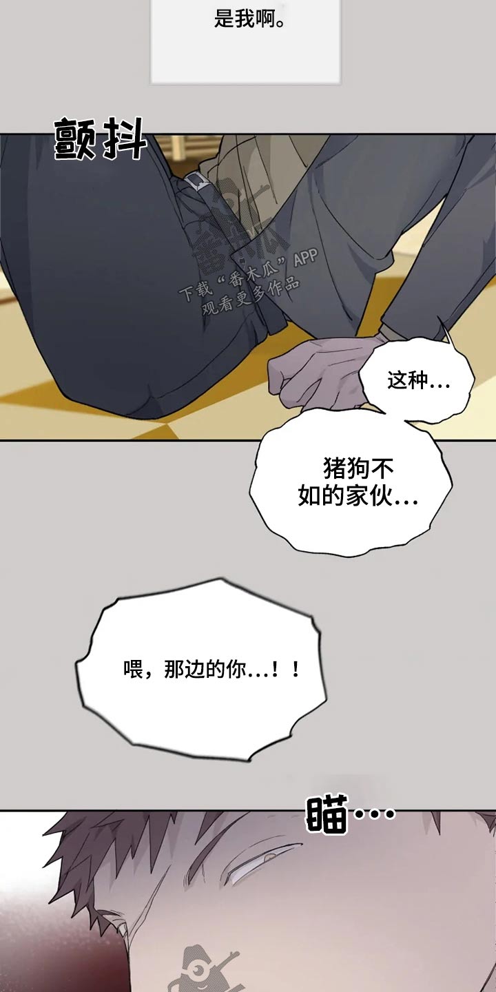 《极道之交》第35章击杀 第2页