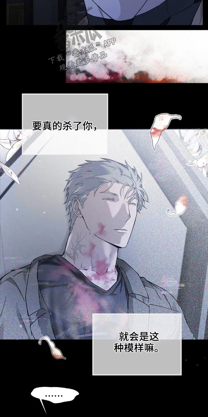 《极道之交》第37章清醒 第11页