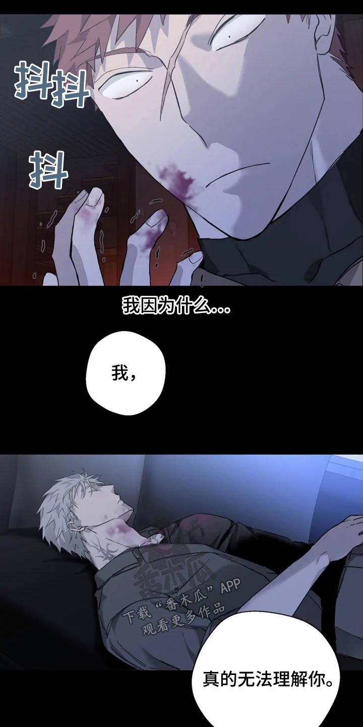 《极道之交》第37章清醒 第16页