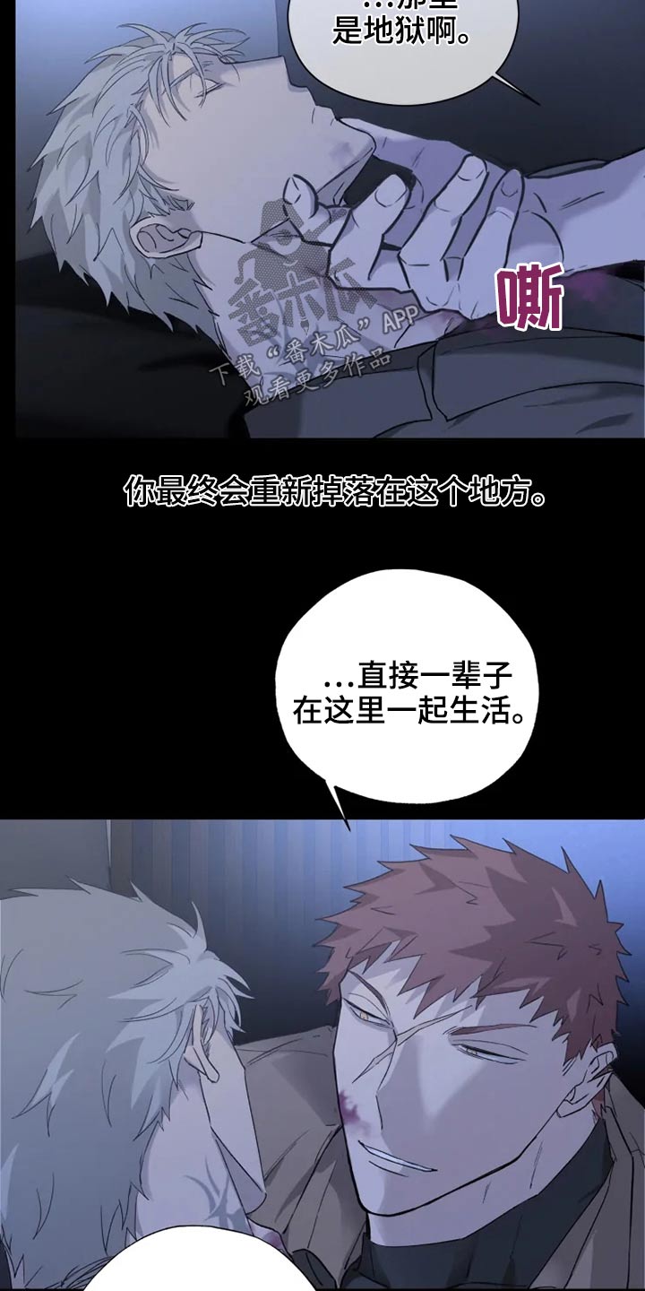 《极道之交》第37章清醒 第19页