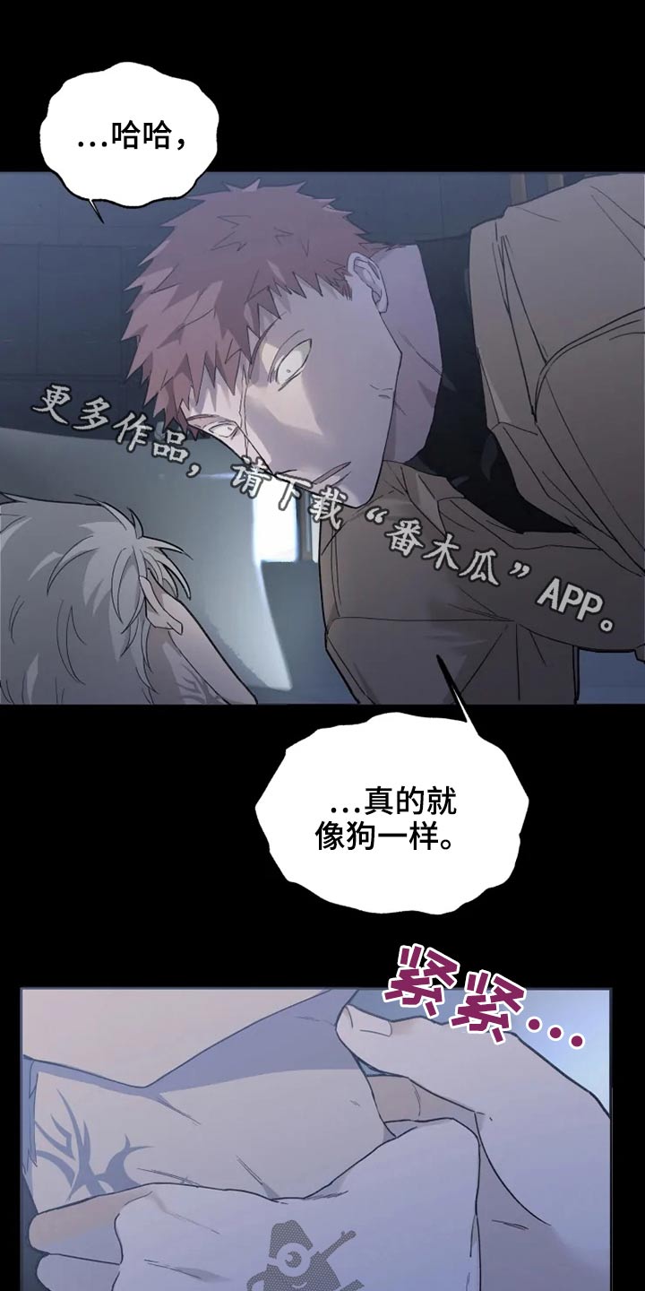 《极道之交》第37章清醒 第1页