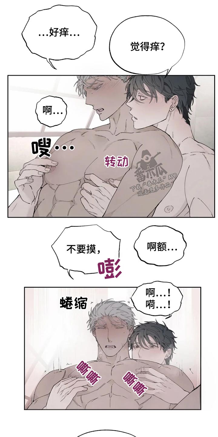 《极道之交》第33章舒畅 第11页