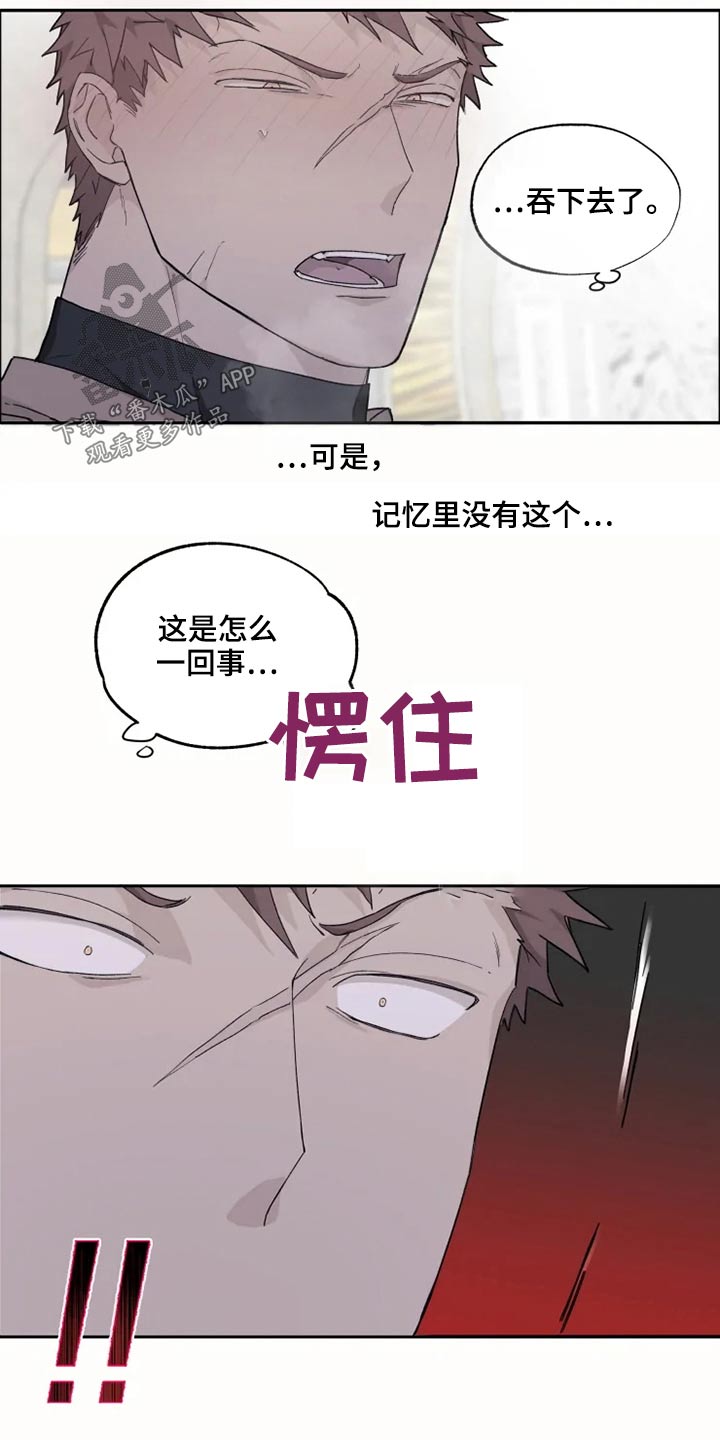 《极道之交》第34章梦境 第11页