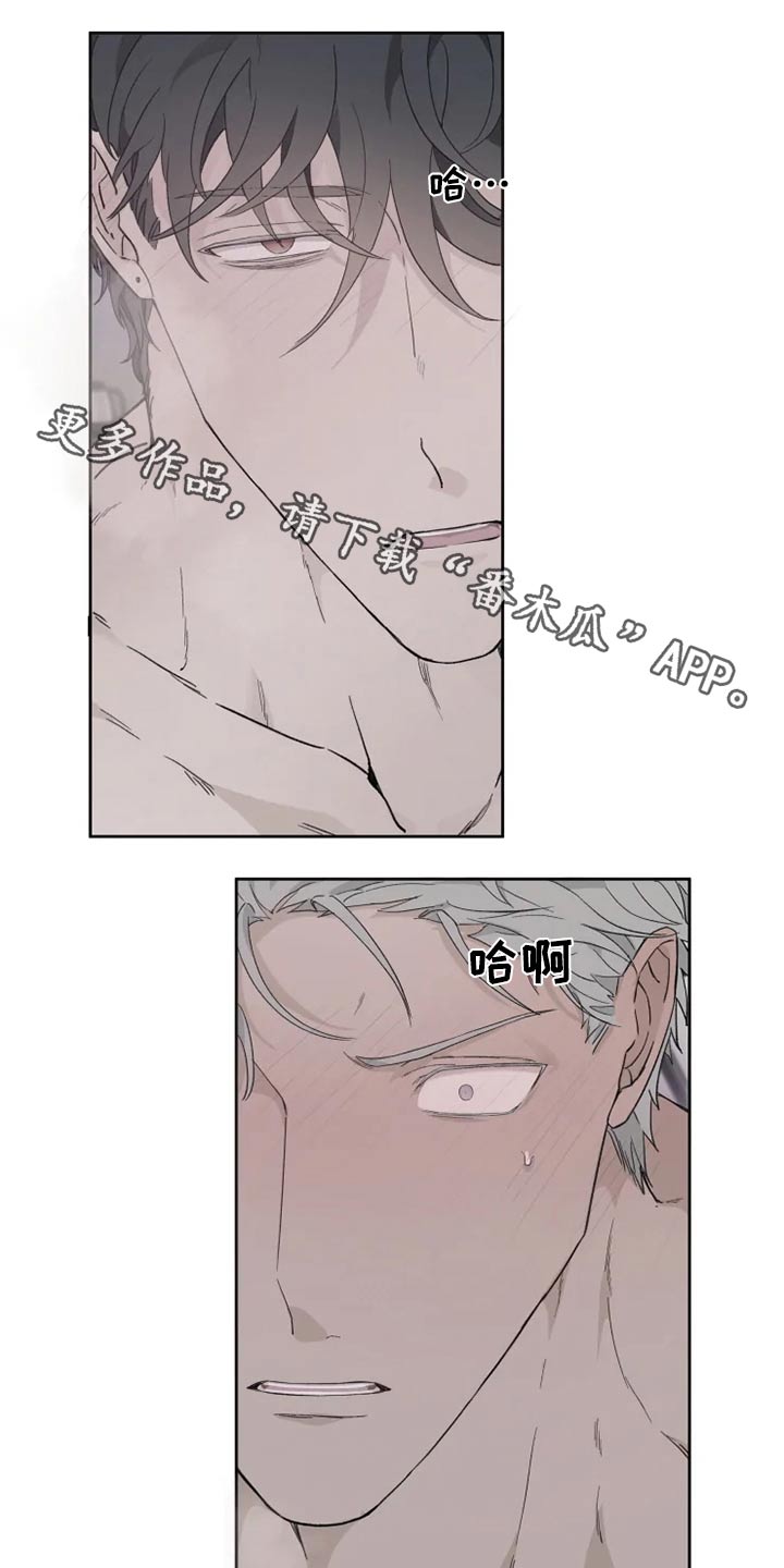 《极道之交》第32章疯子 第1页