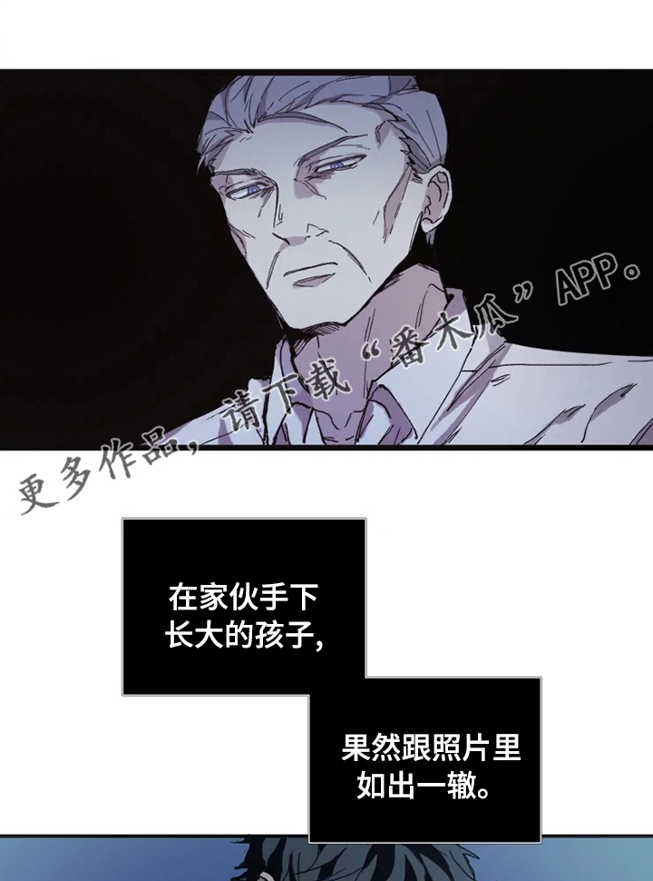 《极道之交》第17章做点别的 第1页