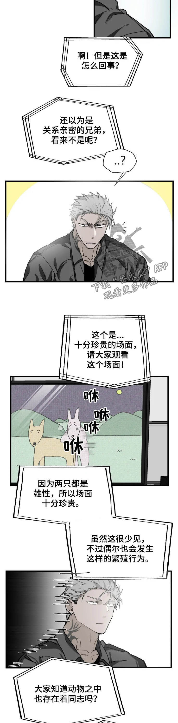 《极道之交》第14章厌烦 第3页