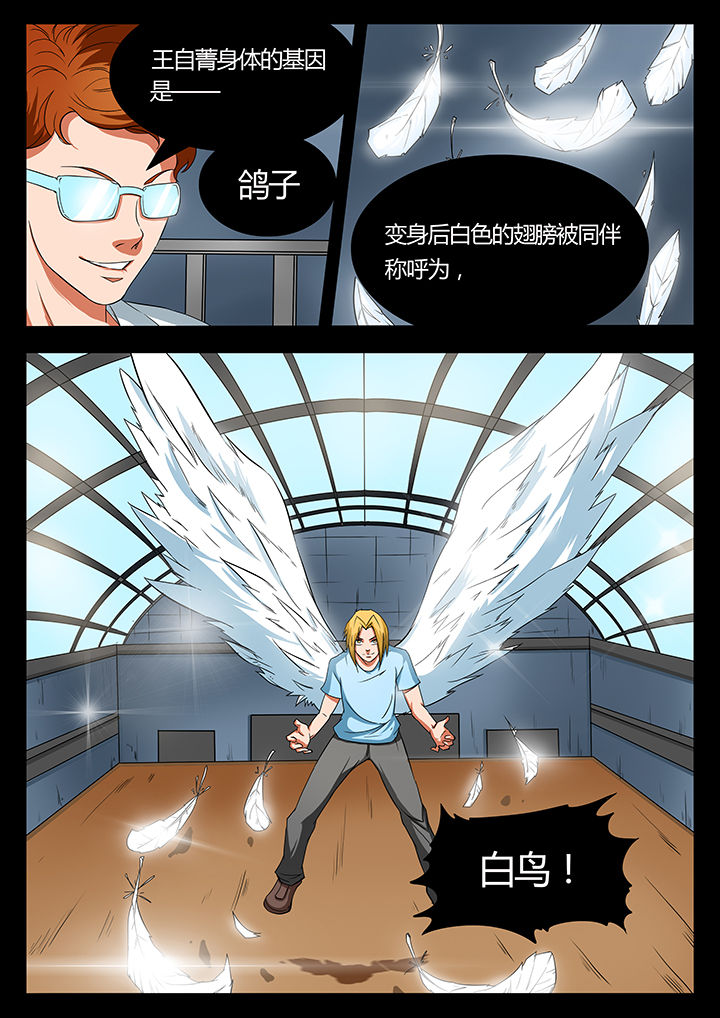《黑鸟计划》第92章 第5页
