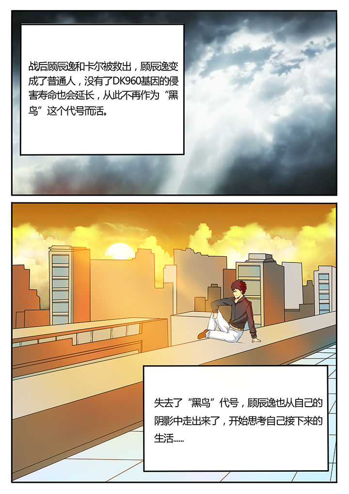 《黑鸟计划》第93章完结 第7页