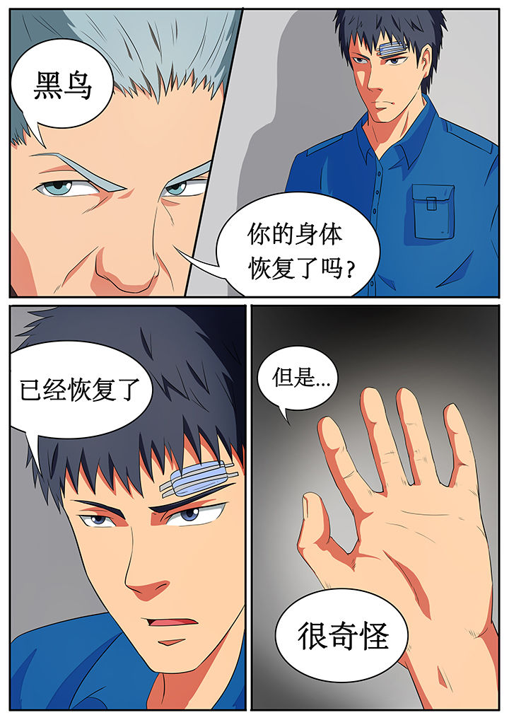 《黑鸟计划》第61章 第3页