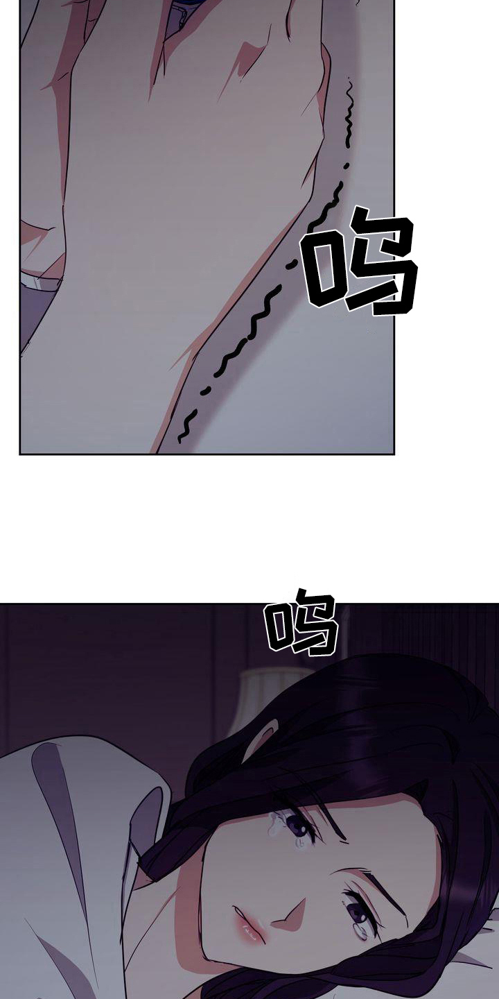 《特殊的行动》第25章迷茫 第17页