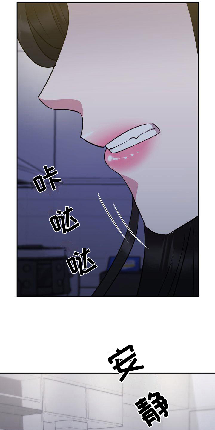《特殊的行动》第28章解释 第14页
